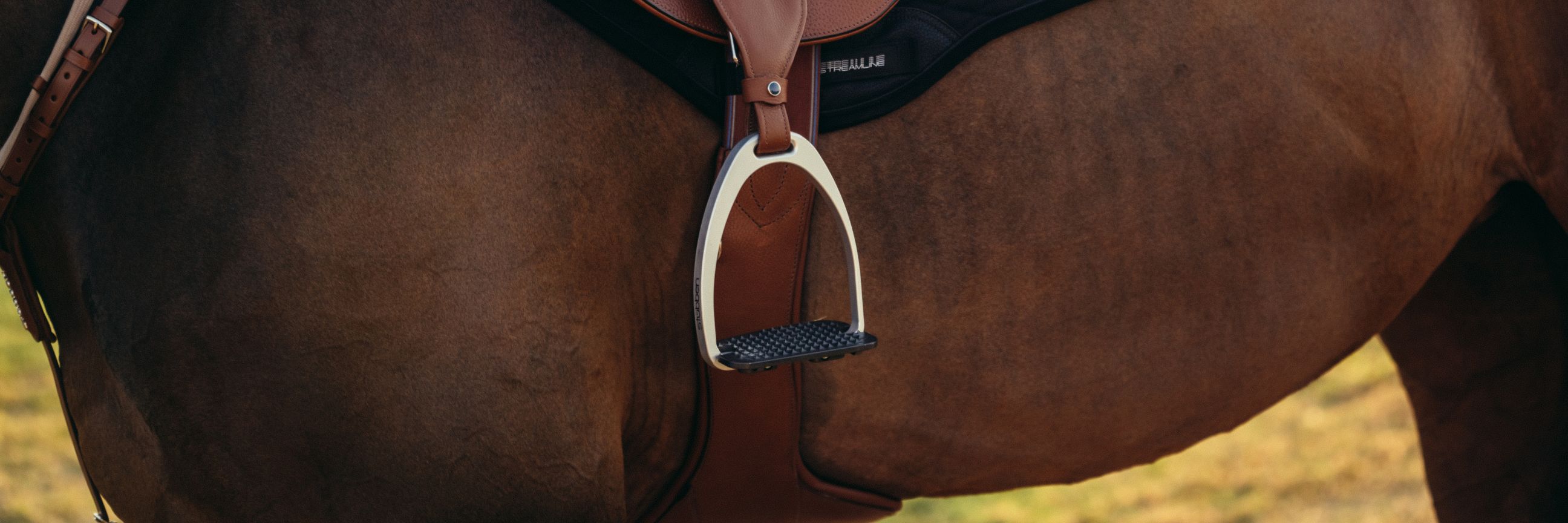 Saddle accessories and stirrup